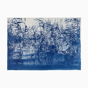 Mystic Louisiana Marsh, 2019, Cyanotype