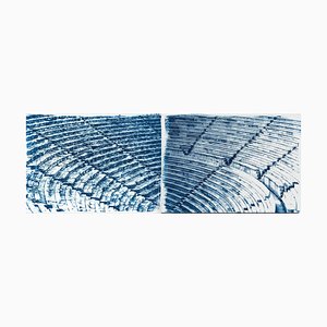 Diptych of Ancient Theatre, Cyanotype, 2020, Set of 2