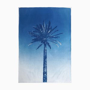 Palmier du Nil, Papier Cyanotype sur Papier Aquarelle, 2019