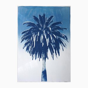 Marrakech Majorelle Palm, Cyanotype sur papier aquarelle, 2019
