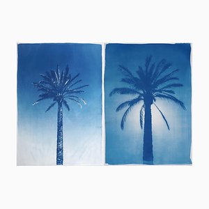 Duo de palmiers égyptiens, cyanotype sur papier, 2019