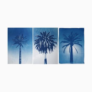 Desert Palm Trio, Cianotipo en papel de acuarela, 2019