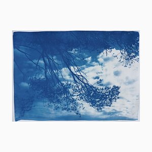 Vista Malibu Pine Sea, Cyanotype, 2019