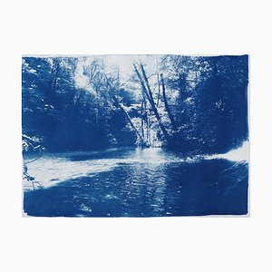 Cyanotype escandinavo de bosque encantado en papel de acuarela, 2019