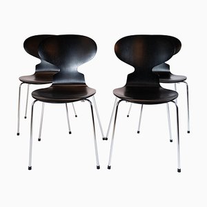 Black Ant Modell 3101 Esszimmerstühle von Arne Jacobsen für Fritz Hansen, 2002, 4er Set