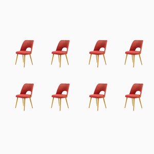 Dining Chairs by Oswald Haerdtl for TON, Czechoslovakia, 1950s, Set of 8