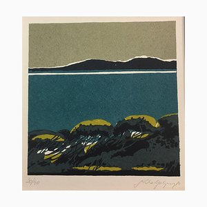 G. Wegerweg, 1980, Dark Turquoise