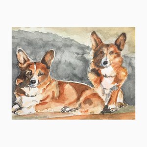 Pembroke, Waliser Corgi, Aquarell