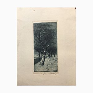Thiele Hermann 1867-1956, Bäume im Winter, Radierung