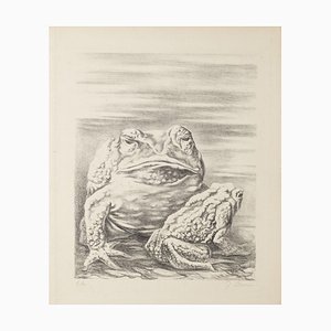 Fabrizio Clerici, the Frogs, 20th Century, Lithograph