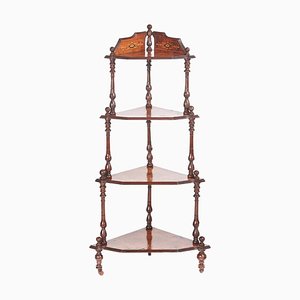 Antique Victorian Inlaid Burr Walnut 4-Tier Corner Shelving