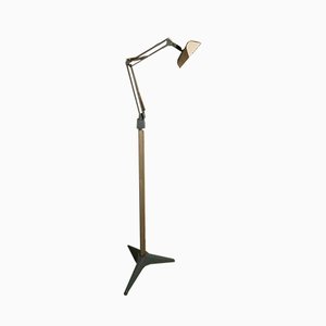 Lámparas de pie Naska Loris Mid-Century de neón con tallos y cierres de Jac Jacobsen para Fontana Arte. Juego de 2