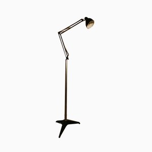 Mid-Century Luxo 1 Floor Lamps with Stems and Clamps by Jac Jacobsen for Luxo, Set of 2