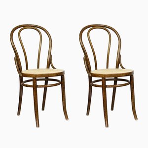 No. 18 Brown Chairs by Michael Thonet, Set of 2