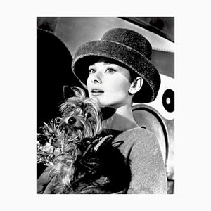 Audrey Hepburn Funny Face Pigment Print Encadré en Noir