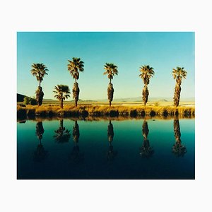 Zzyzx Resort Pool Ii, Soda Dry Lake, California - Palm Print Color Photography 2002