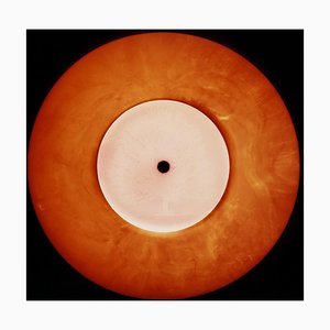 Vinyl Collection, Ltd. Vinyl (Herbst), Farbfotografie, 2016