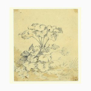 Jan Pieter Verdussen - Flowers - Original China Ink Drawing by Jan Pieter Verdussen - 1740