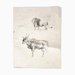 Wilhelm Lorenz - Gnu and Lion - Original Pencil On Paper by Wilhelm Lorenz - Mid-20th Century