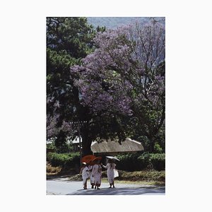 Imprimé Buddha Nuns C Oversize Encadré Noir par Slim Aarons