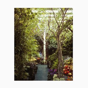 Paula Anta, Only 01 Series Artificial Paradise, Photographie, 2008