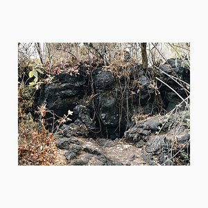 JC Martinez Jimenez, Cadre en bois de photographie mexicaine moderne