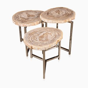 Petrified Wood Fossil Nesting Tables on Chrome Bases, Set of 3