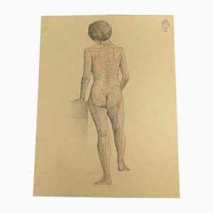 Academy Anatomie der menschlichen Figur, Department of Fine Arts