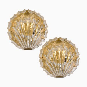 Golden Ice Glass Shell Wall Sconces from Kalmar, 1960s, Set of 2