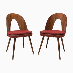 Mid-Century Walnut Dining Chairs by Antonin Suman for Tatra Furniture