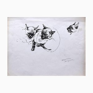 Marie Paulette Lagosse, Die Katze, Feder auf Papier, 1970er
