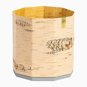 Large Tara Birch Plant Pot from Moya