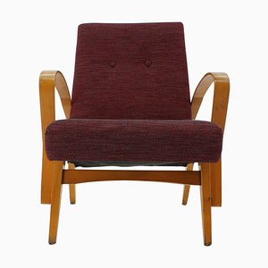 Fauteuil Mid-Century, Tchécoslovaquie, 1960s