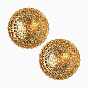 Amber Glass Wall Lights Sconces by Helena Tynell for Glashütte Limburg, Set of 2