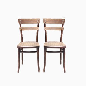 Set of Antique Side Chairs by Michael Thonet