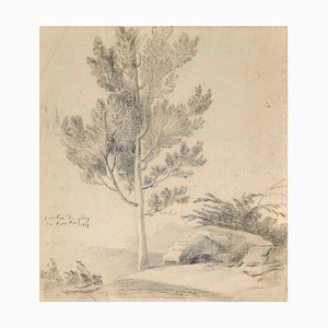 Inconnu, Arbre Seul, Crayon Sur Papier, 1817