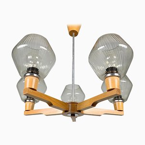 Vintage Chandelier from Drevo Humpolec, Czechoslovakia, 1970s