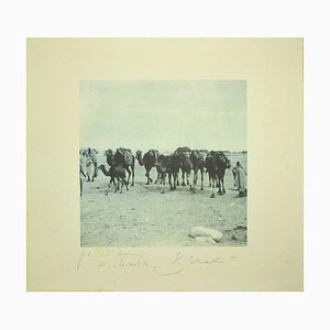 Bettino Craxi, Camels In the Tunisian Desert, 1995, Photolithograph