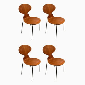 Sedie Ant di Arne Jacobsen, anni '60, set di 4