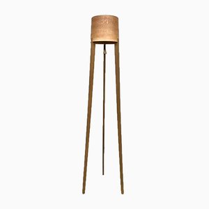 Dutch Tripod Floor Lamp by Erik Hatters