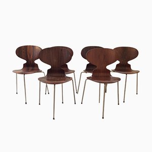 First Edition Palisander Ant Chairs FH 3100 by Arne Jacobsen for Fritz Hansen, 1950s, Set of 6