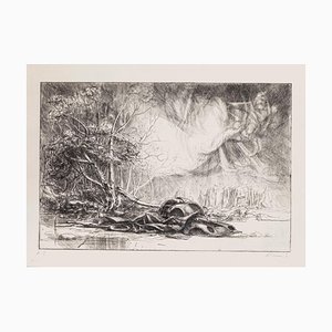 Riccardo Tommasi Ferroni, Nature Prevails, años 70, Etching