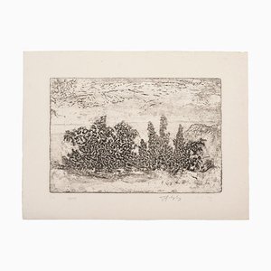 Unknown - Landscape - Original Etching on Paper - 1969