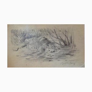 Wilhelm Lorenz - Tiger At Rest - Pencil Original - Mid-20th Century