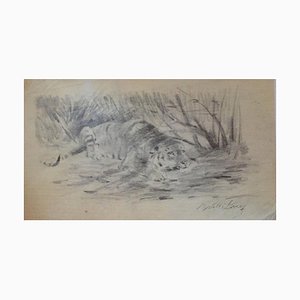 Wilhelm Lorenz - Tiger In Rest - Original Bleistift - Mitte 20. Jahrhundert