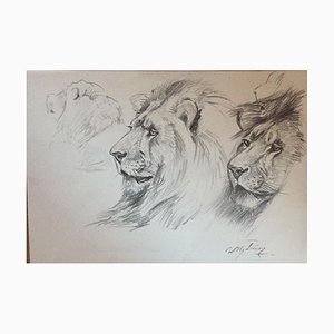 Wilhelm Lorenz - Lion - Pencil Original- Mid-20th-Century