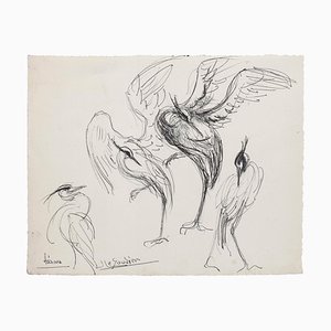 Unknown - Bird - Original Pen Drawing - Mid-20th Century