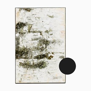 Small Edge Dark Gray Birch Wall Panel With Moss and Lichens from Moya