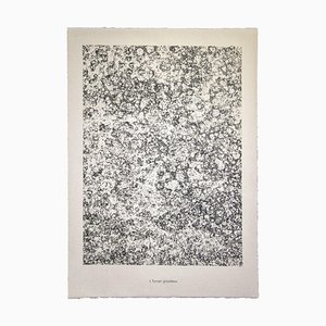 Jean Dubuffet - Land Gritty - de Soil, Land - Litografía - 1959