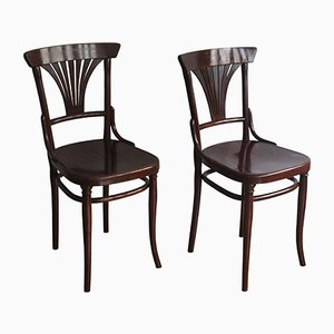 221 Dining Chairs by Michael Thonet for Thonet, 1910s, Set of 2